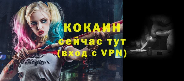 шишки Абинск