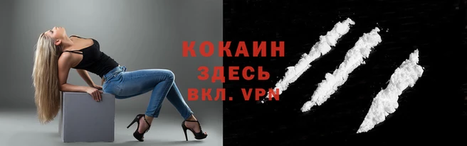 шишки Абинск
