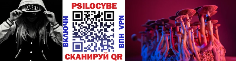 сайты даркнета формула  Усть-Катав  Галлюциногенные грибы Psilocybe  магазин продажи наркотиков 